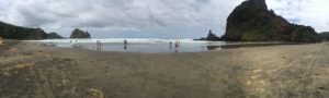 Piha Beach Panorama