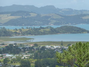 View from Driving Creek Railway