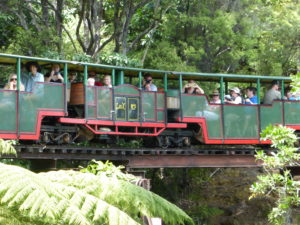 Driving Creek Railway Train