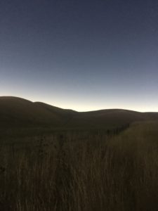 The horizon during the eclipse