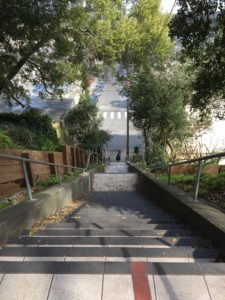 Hidden Garden Tiled Steps