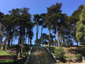 Lincoln Park Tile Steps