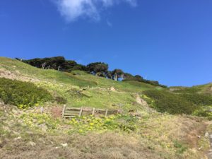 Sutro Baths